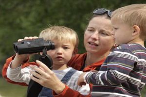 Újra indul a Csodálatos madarak program az MME szervezésében - Irány a Margitsziget!