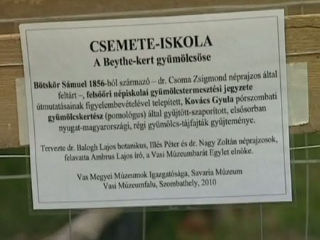 Új csemetekert az ősi fajtákból