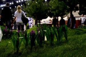 Gardenexpo kiállítás 2011 (mozgó)képekben!