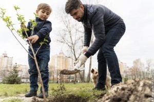 10 tipp, hogyan ültessünk gyümölcsfákat ősszel