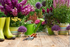 Lebegő bonsai fák és buja kertek a Gardenexpon