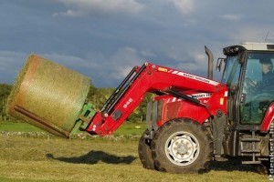 Mezőgazdaság és környezetvédelem - itt is vannak állások bőven