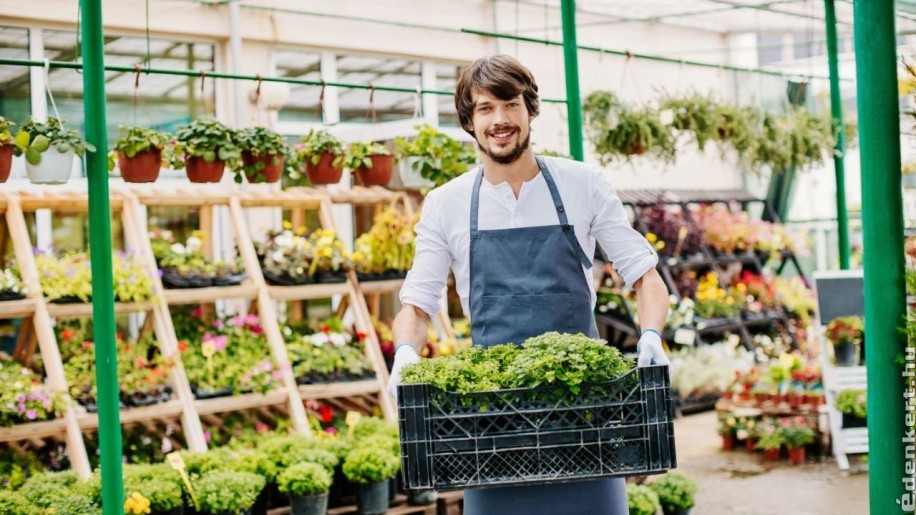 Top 5 online marketing tipp kertészeteknek és növényboltoknak